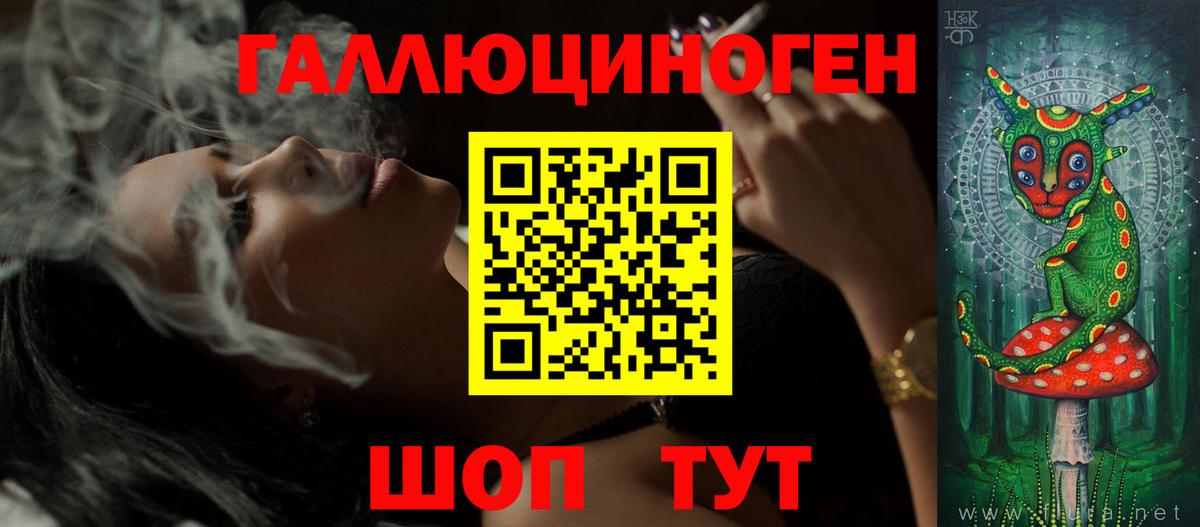 Псилоцибиновые грибы Psilocybine cubensis Мариинск
